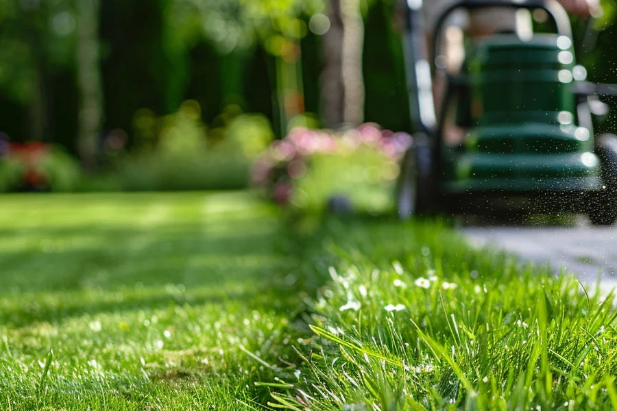 what is the best lawn mower to buy