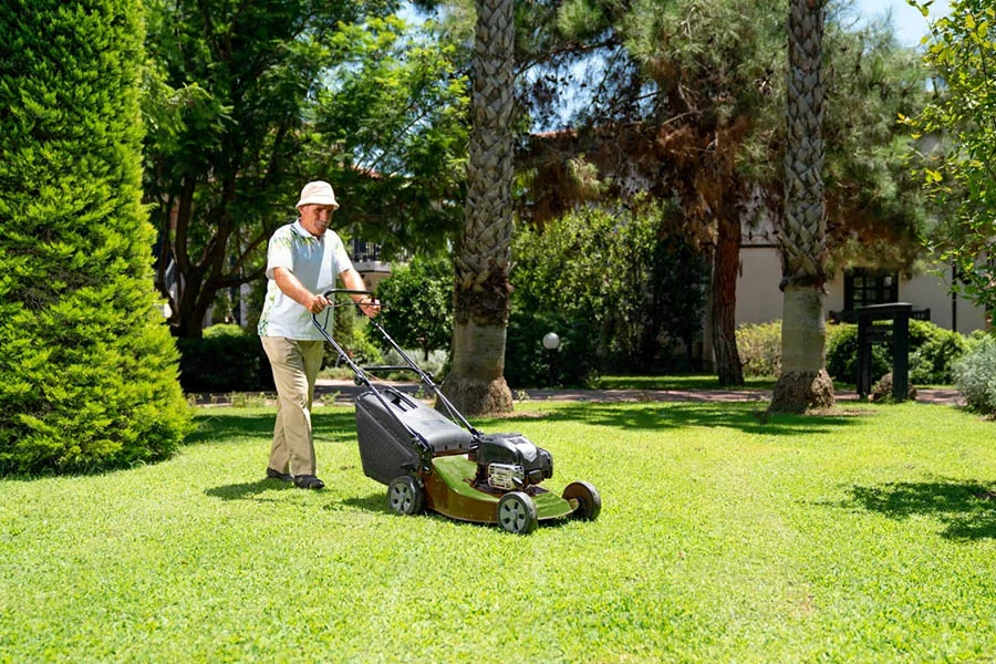 where to buy a lawn mower